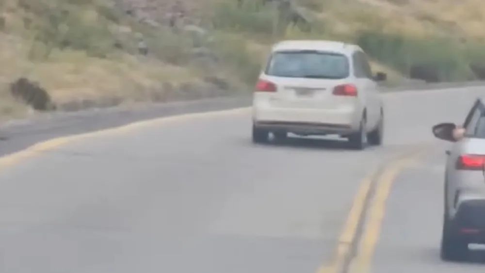 Imprudencia en la Ruta 7